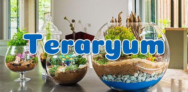 Teraryum Çeşitleri